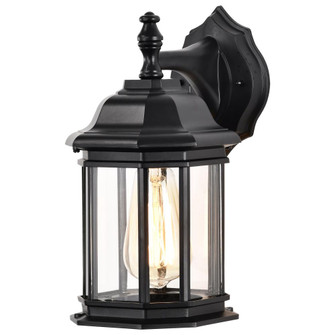 Hopkins Outdoor Collection 12 inch Small Wall Light; Matte Black Finish with Clear Glass (81|60/6119)