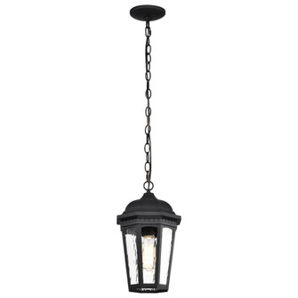 East River Collection Outdoor 14.5 inch Hanging Light; Matte Black Finish with Clear Water Glass (81|60/5944)