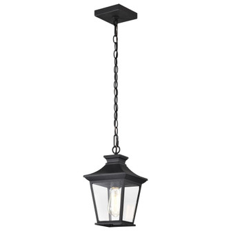 Jasper Collection Outdoor 12 inch Hanging Light; Matte Black Finish with Clear Glass (81|60/5746)