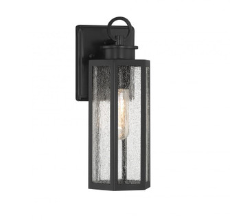 Hawthorne 1-Light Outdoor Wall Lantern in Black (641|V6-L5-5100-BK)