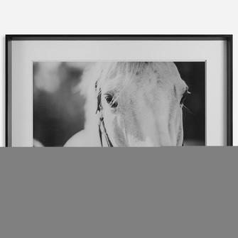 Uttermost Eyes On The Prize Framed Print (85|41464)