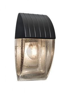 Besa, Aqua Series Wall Sconce, Black/Clear Bubble, 1x8W LED Filament (127|AQUACP-CL-EDIL-BK)