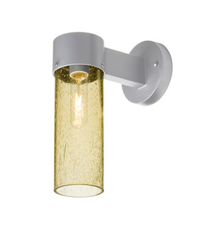 Besa, Juni 10 Outdoor Sconce, Gold Bubble, Silver Finish, 1x4W LED Filament (127|JUNI10GD-WALL-EDIL-SL)