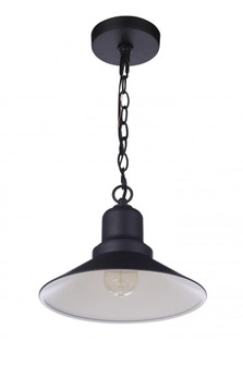 Singleton 1 Light 11'' Outdoor Pendant in Midnight (20|ZA5401-MN)