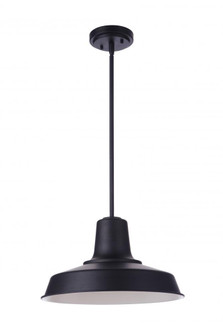 Briscoe 1 Light 15'' Outdoor Pendant in Midnight (20|ZA5701-MN)