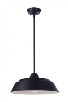 Landmark 1 Light 15'' Outdoor Pendant in Midnight (20|ZA5521-MN)