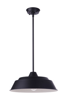 Landmark 1 Light 15'' Outdoor Pendant in Midnight (20|ZA5521-MN)