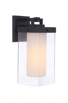 Hayner 1 Light Medium Outdoor Wall Lantern in Midnight (20|ZA5614-MN)