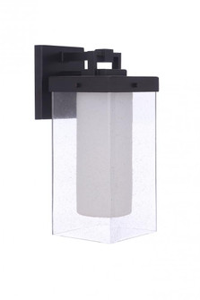 Hayner 1 Light Medium Outdoor Wall Lantern in Midnight (20|ZA5614-MN)
