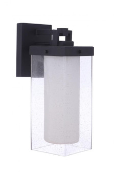 Hayner 1 Light Large Outdoor Wall Lantern in Midnight (20|ZA5624-MN)