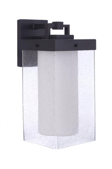 Hayner 1 Light Small Outdoor Wall Lantern in Midnight (20|ZA5604-MN)