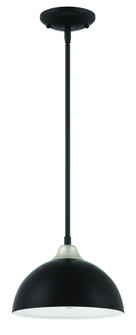 Kahn 1 Light Outdoor Pendant in Midnight/Satin Aluminum (20|ZA4911-MNSA)
