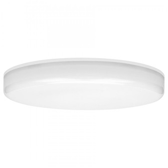 Frameless LED Flush Mount (7|20867LEDDCS-WH/ACR)