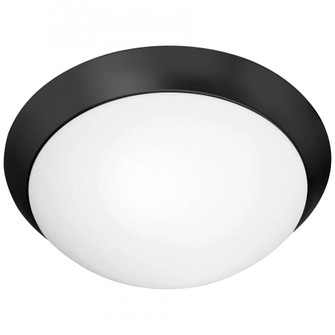 Flush Mount (7|20624-MBL/OPL)