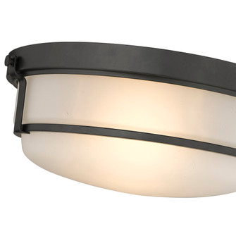 Arlson 2-Light Flushmount Ceiling Light Matte Black (670|4662-MB)