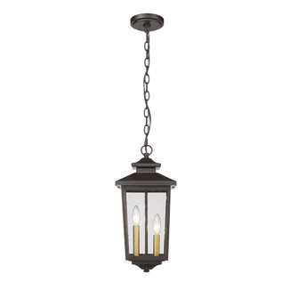 Eldrick 2-Light Outdoor Hanging Lantern Powder Coated Bronze (670|4643-PBZ)
