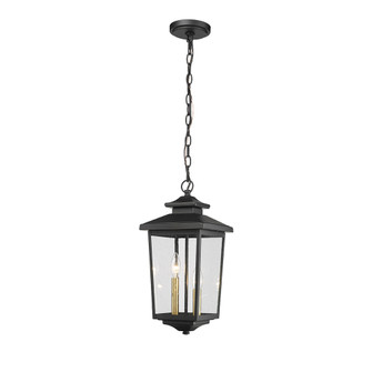Eldrick 2-Light Outdoor Hanging Lantern Powder Coated Black (670|4643-PBK)