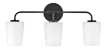 Medium Three Light Vanity (1118101|853453BK)
