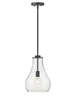 Small Single Light Pendant (1118101|83117BK)