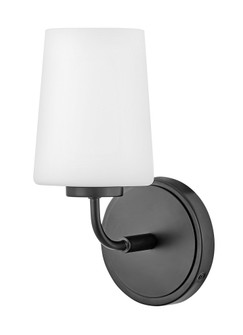 Medium Single Light Vanity (1118101|853450BK)