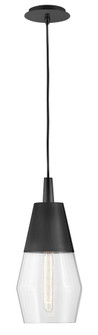 Small Single Light Convertible Pendant (1118101|83397BK)
