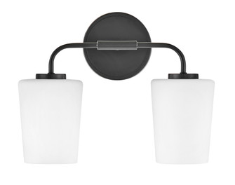 Small Two Light Vanity (1118101|853452BK)
