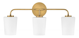 Medium Three Light Vanity (1118101|853453HB)