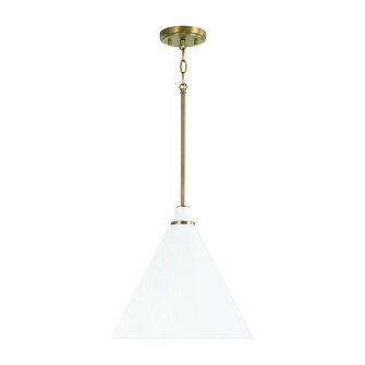 1 Light Pendant (42|350112AW)