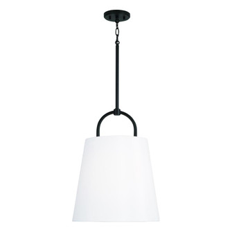 1 Light Pendant (42|349412MB)