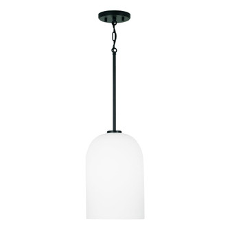 1 Light Pendant (42|348811MB)