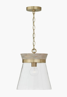 1 Light Pendant (42|347311WS)
