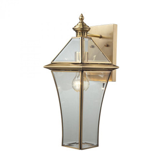 Riverdale 1-Light Outdoor Wall Lamp in Brushed Brass (91|22031/1)