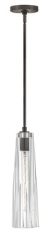 Large Adjustable Pendant (88|FR31107BX-CL)