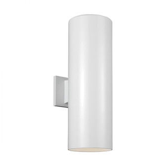 Outdoor Cylinders transitional 2-light outdoor exterior large wall lantern sconce in white finish wi (7725|8313902-15)