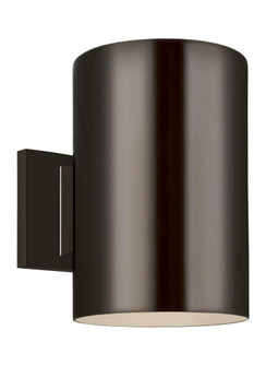 Outdoor Cylinders Large One Light Outdoor Turtle Friendly Wall Lantern (7725|8313901-10/T)