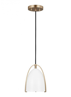 Norman One Light Mini-Pendant (7725|6151801-848)