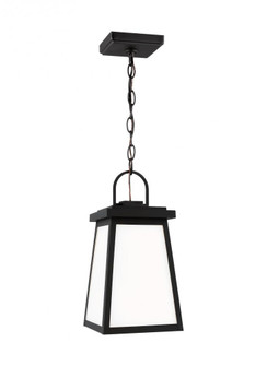 Founders One Light Outdoor Pendant (7725|6248401EN3-12)