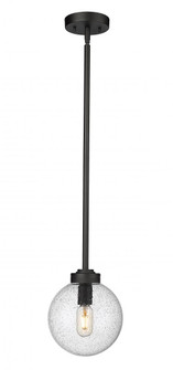 1 Light Outdoor Pendant (276|599P8-BK)