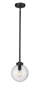 1 Light Outdoor Pendant (276|599P8-BK)