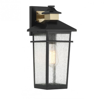 Kingsley 1-Light Outdoor Wall Lantern in Matte Black with Warm Brass Accents (128|5-719-143)