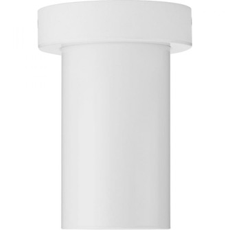3'' White Surface Mount Modern Adjustable Cylinder (149|P550140-030)