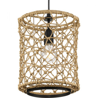 P500419-31M 1-L MINI-PENDANT (149|P500419-31M)