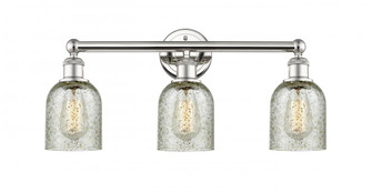Caledonia - 3 Light - 23 inch - Polished Nickel - Bath Vanity Light (3442|616-3W-PN-G259)