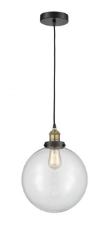 Beacon - 1 Light - 12 inch - Black Antique Brass - Cord hung - Mini Pendant (3442|616-1PH-BAB-G202-12)