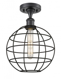 Lake Placid - 1 Light - 10 inch - Matte Black - Semi-Flush Mount (3442|516-1C-BK-CE-10-BK)