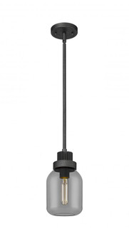 Somers - 1 Light - 6 inch - Weathered Zinc - Pendant (3442|472-1S-WZ-G472-6SM)
