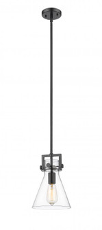Newton Cone - 1 Light - 8 inch - Matte Black - Mini Pendant (3442|411-1SS-BK-G411-8CL)