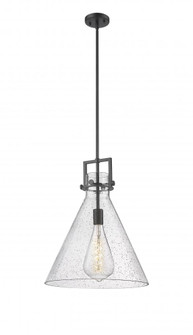 Newton Cone - 1 Light - 16 inch - Matte Black - Stem hung - Pendant (3442|411-1SL-BK-G411-16SDY)