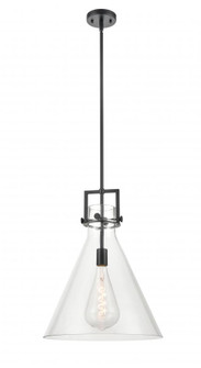 Newton Cone - 1 Light - 16 inch - Matte Black - Pendant (3442|411-1SL-BK-G411-16CL)