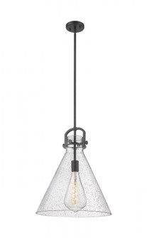 Newton Cone - 1 Light - 16 inch - Matte Black - Pendant (3442|410-1SL-BK-G411-16SDY)